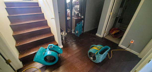 Best Ceiling water damage repair  in Great Neck Estates, NY