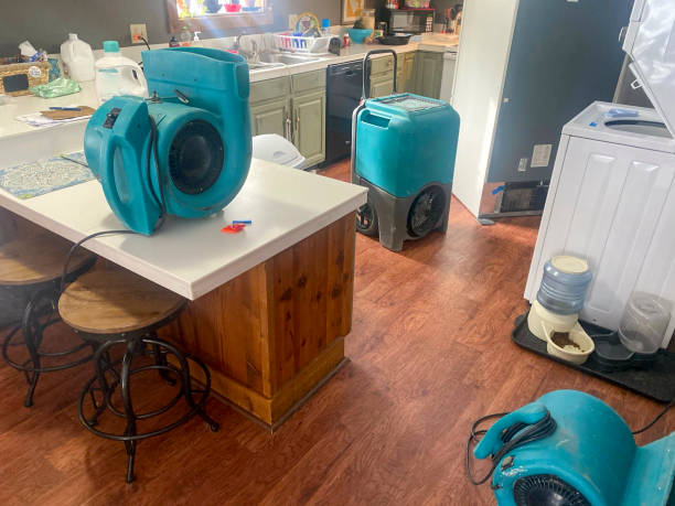 Best Water damage contractors near me  in Great Neck Estates, NY