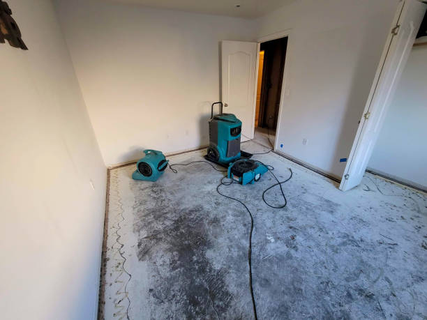 Best Water damage repair service  in Great Neck Estates, NY