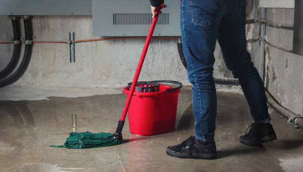Best Water damage restoration near me  in Great Neck Estates, NY