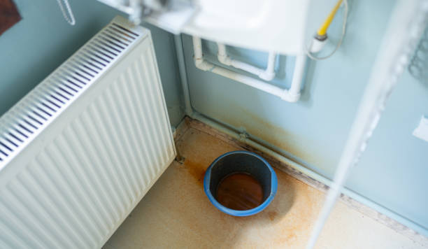 Best Sewage cleanup and water damage restoration  in Great Neck Estates, NY