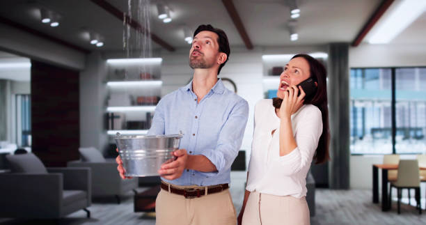 Best Water damage restoration near me  in Great Neck Estates, NY