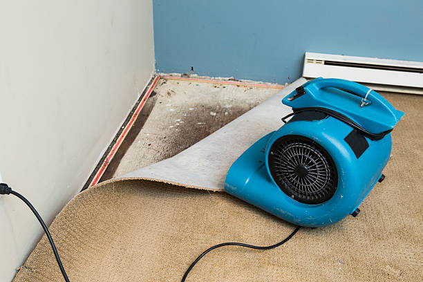 Best Residential water damage restoration  in Great Neck Estates, NY